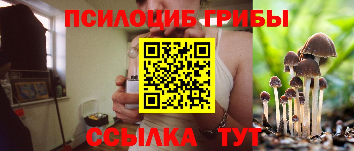 Галлюциногенные грибы Psilocybe Бузулук