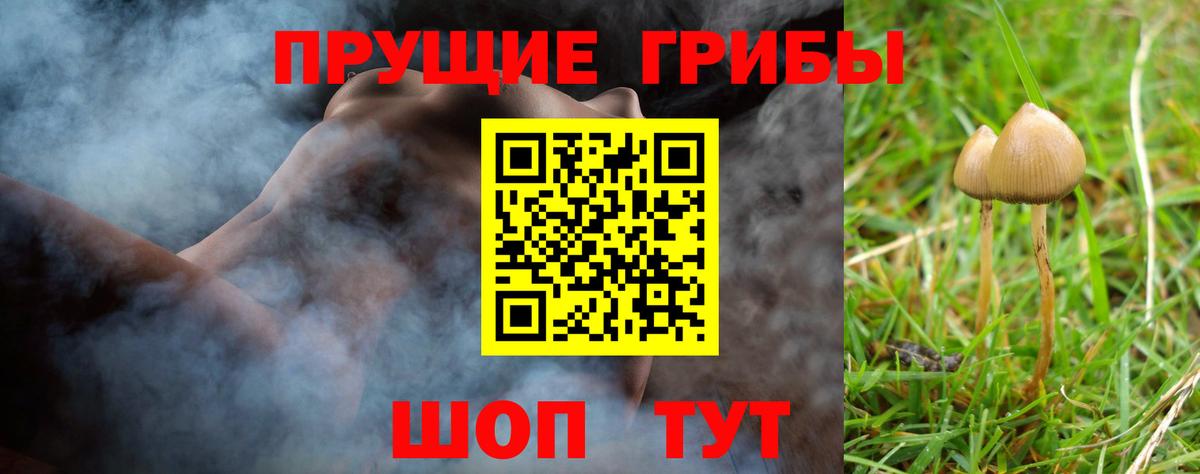 Бузулук  Галлюциногенные грибы Psilocybine cubensis  Псилоцибиновые грибы Cubensis  Вход с VPN 